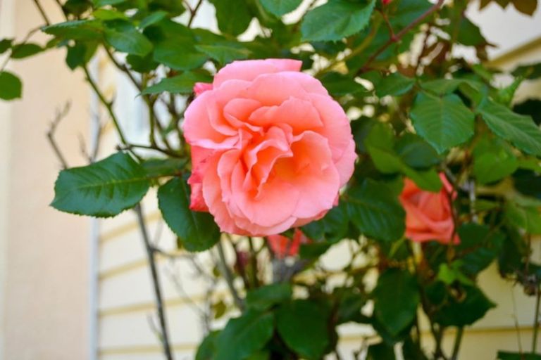 Photo of property in 15 Ferry Road, Waipu, 0510