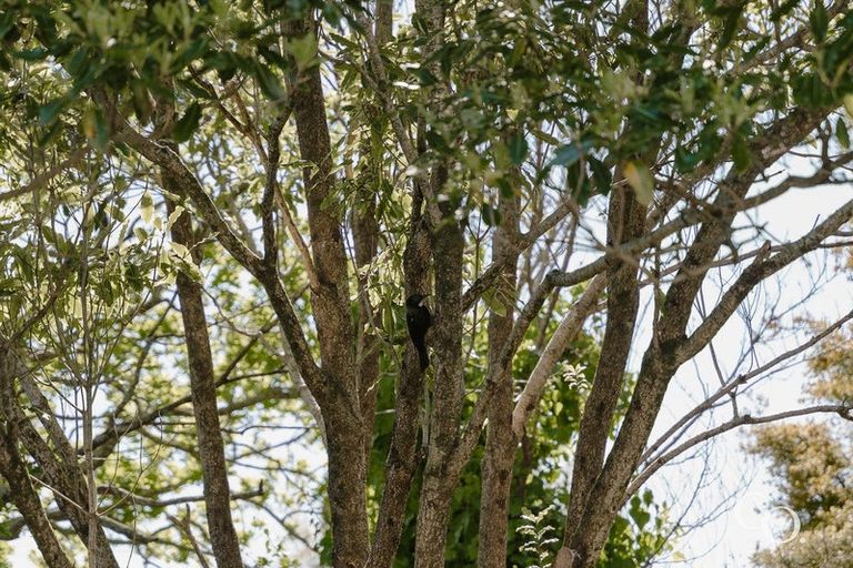 Photo of property in 119d Welcome Bay Road, Welcome Bay, Tauranga, 3112