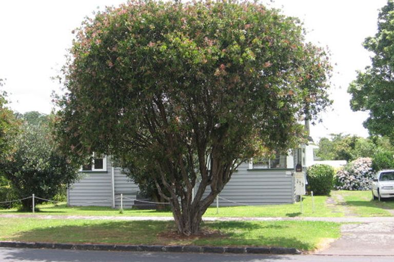 Photo of property in 253 St Andrews Road, Epsom, Auckland, 1023
