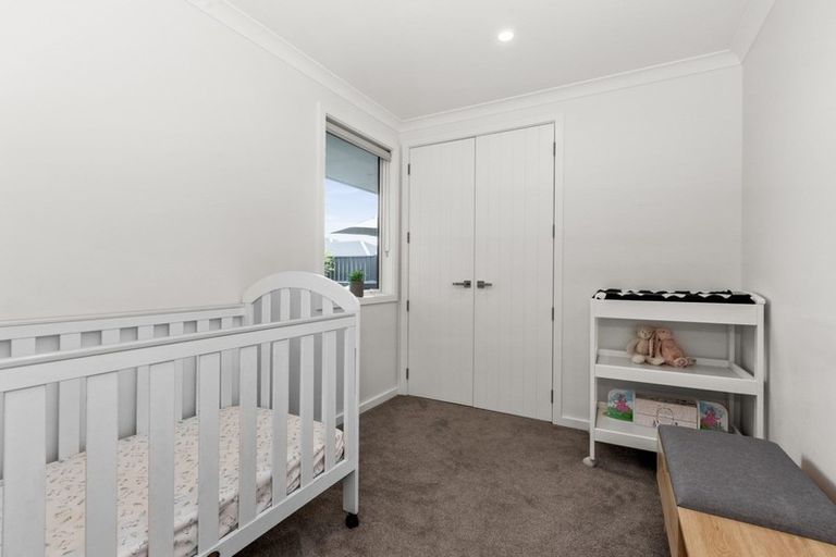 Photo of property in 62 Lochhead Street, Mahora, Hastings, 4120