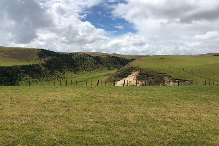 Photo of property in 5 Snapper Street, Baylys Beach, 0377