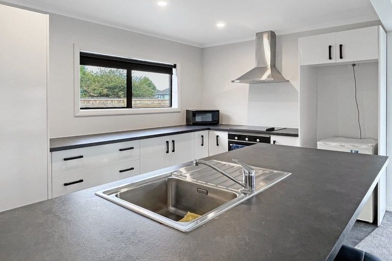 Photo of property in 107 Limbrick Street, Terrace End, Palmerston North, 4410