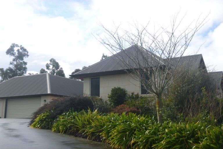 Photo of property in 77 Ribbonwood Road, Geraldine Downs, Geraldine, 7991