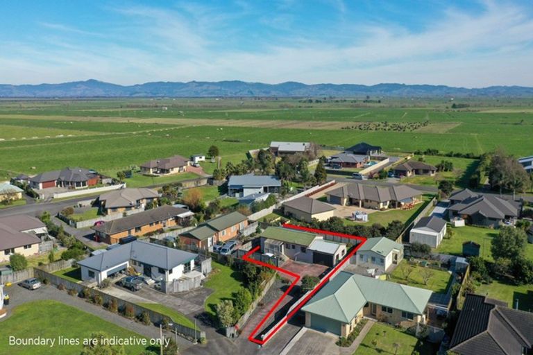 Photo of property in 18a Madgwick Place, Ngatea, 3503