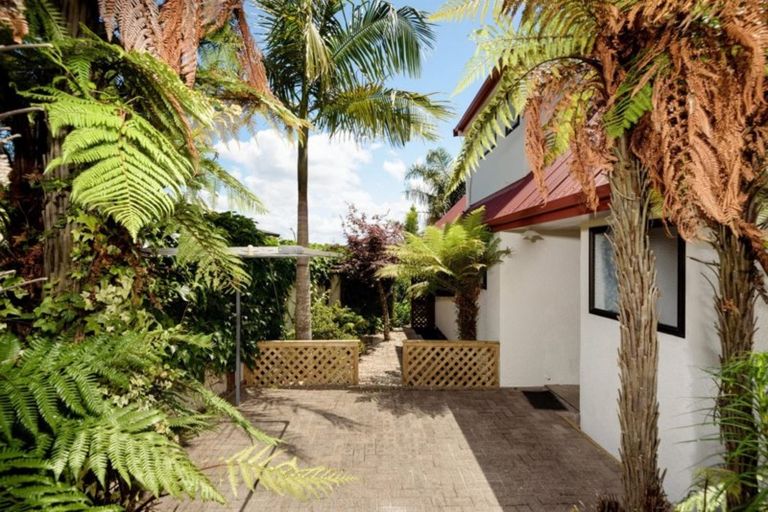 Photo of property in 102 Haukore Street, Hairini, Tauranga, 3112