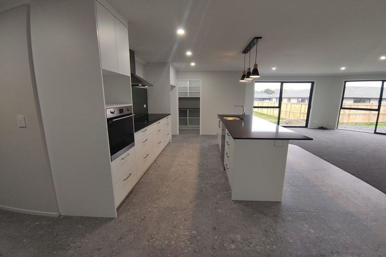 Photo of property in 38 Chardonnay Way, Te Kauwhata, 3710