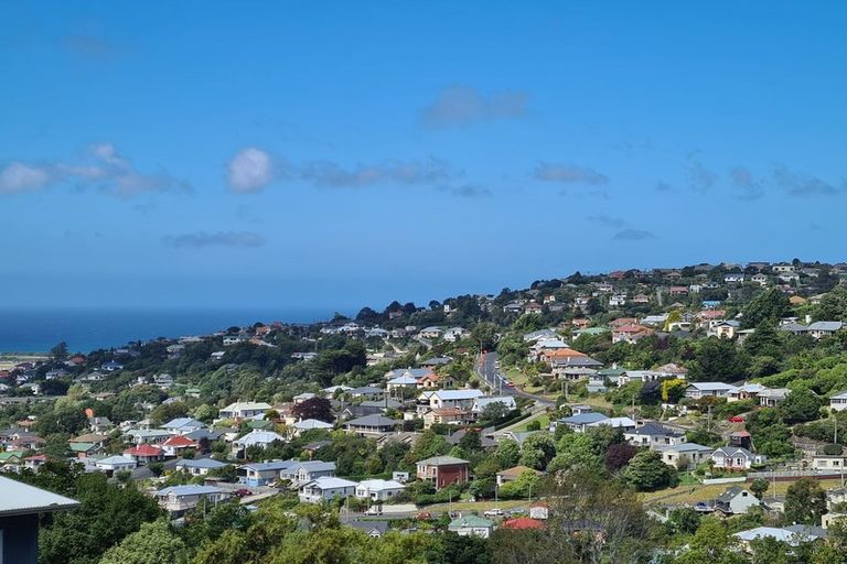 Photo of property in 20 Thomson Street, Lookout Point, Dunedin, 9011