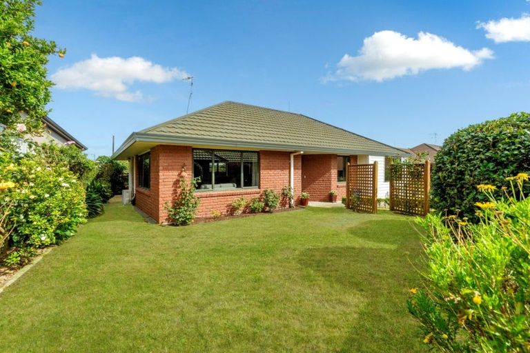 Photo of property in 171c Maungatapu Road, Maungatapu, Tauranga, 3112