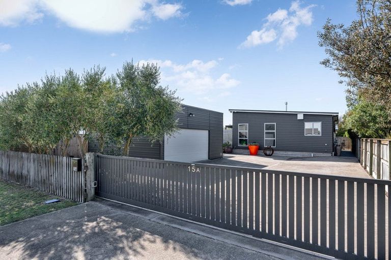 Photo of property in 15a Esther Street, Martinborough, 5711