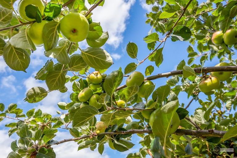 Photo of property in 10 Tiroiti Grove, Stokes Valley, Lower Hutt, 5019