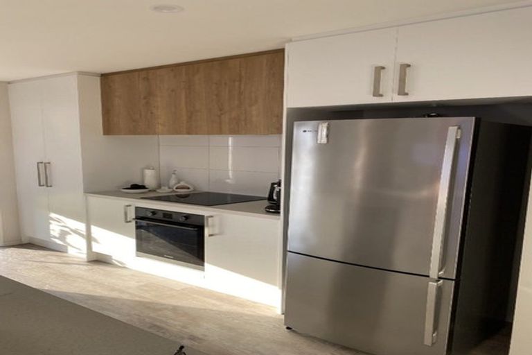 Photo of property in 45 Bonecrusher Street, Lincoln, 7608