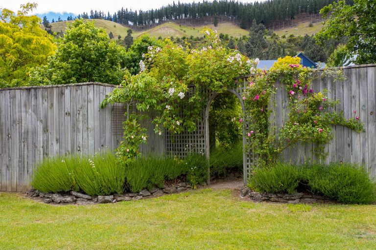 Photo of property in 46 Hazlett Street, Clyde, 9330