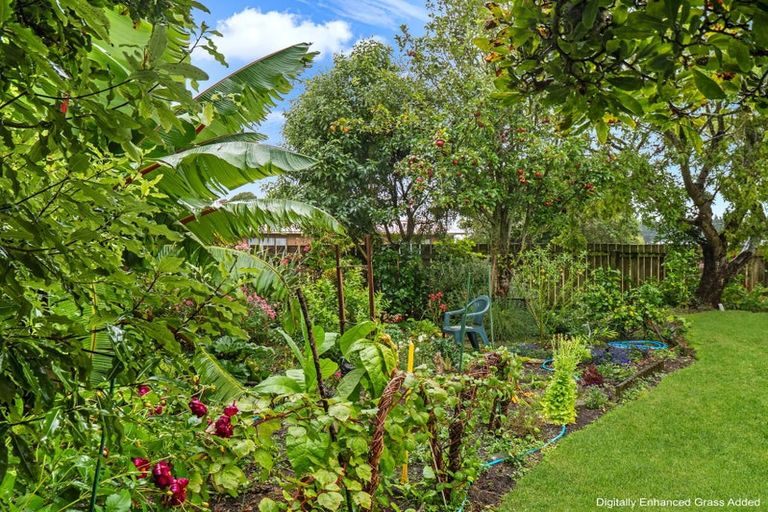 Photo of property in 43 Fookes Street, Waverley, 4510