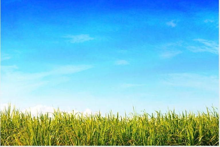 Photo of property in 16 Putahi Crescent, Opaheke, 2113