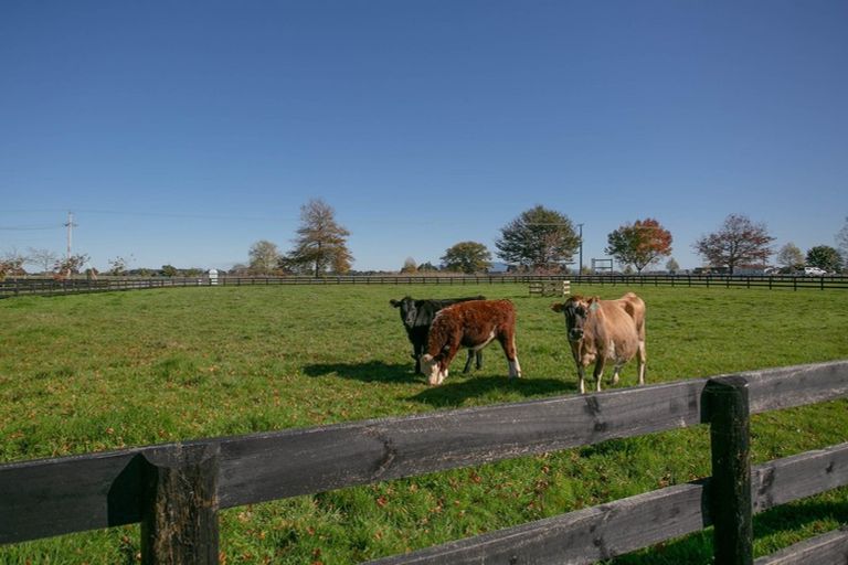 Photo of property in 1659 Cambridge Road, Cambridge, Hamilton, 3283