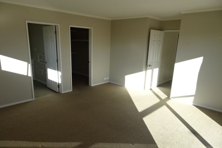 Photo of property in 268 Youngson Road, Whakamarama, Tauranga, 3179