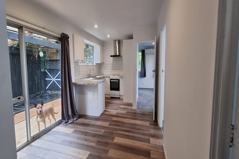 Photo of property in 1/7 Branston Avenue, Browns Bay, Auckland, 0630