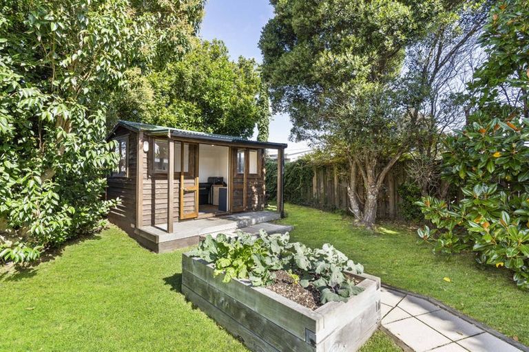 Photo of property in 12 Niccol Avenue, Narrow Neck, Auckland, 0624