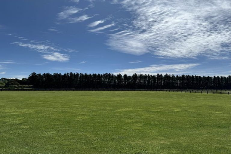 Photo of property in 17 Beal Place, Swannanoa, 7692