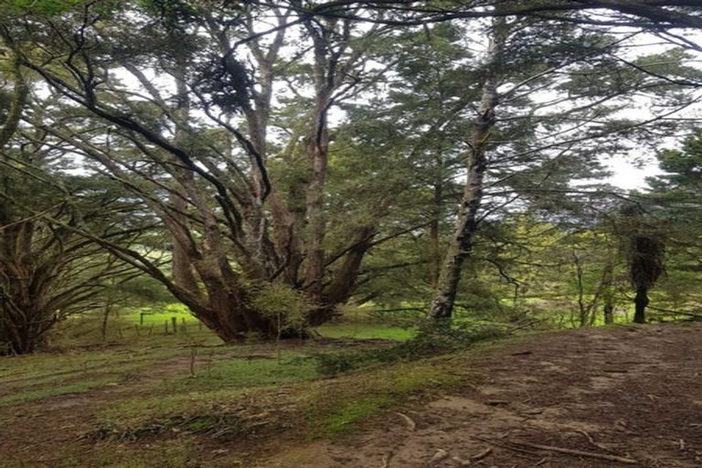 Photo of property in 504b Wairere Road, Maungaturoto, 0571