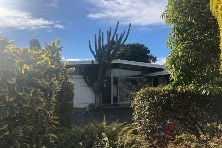 Photo of property in 16 Saxton Street, Levin, 5510