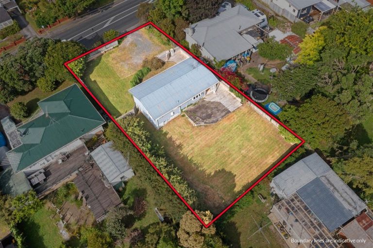 Photo of property in 44 Pine Avenue, Henderson, Auckland, 0612