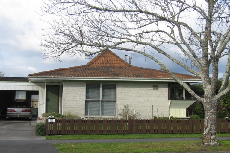 Photo of property in 36b Lancaster Street, Dinsdale, Hamilton, 3204