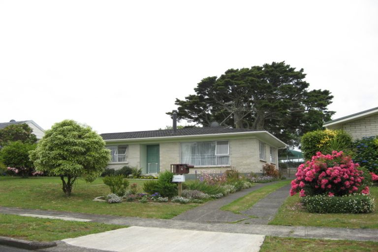 Photo of property in 6 Bledisloe Court, Pukekohe, 2120