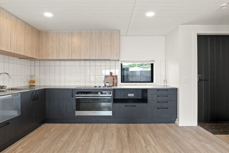 Photo of property in 44 David Street, Caversham, Dunedin, 9012