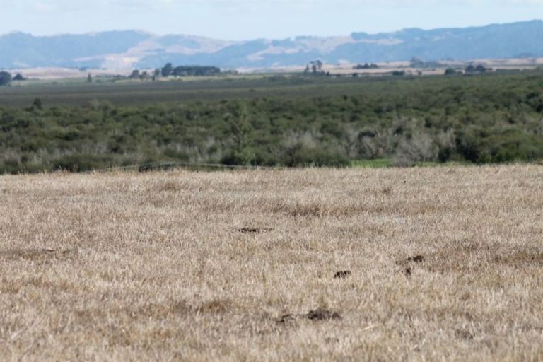 Photo of property in 616 Falls Road, Waerenga, Te Kauwhata, 3782