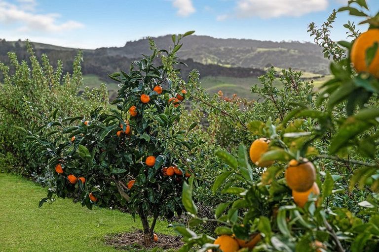 Photo of property in 29 Beachwood Drive, Hatfields Beach, Orewa, 0931