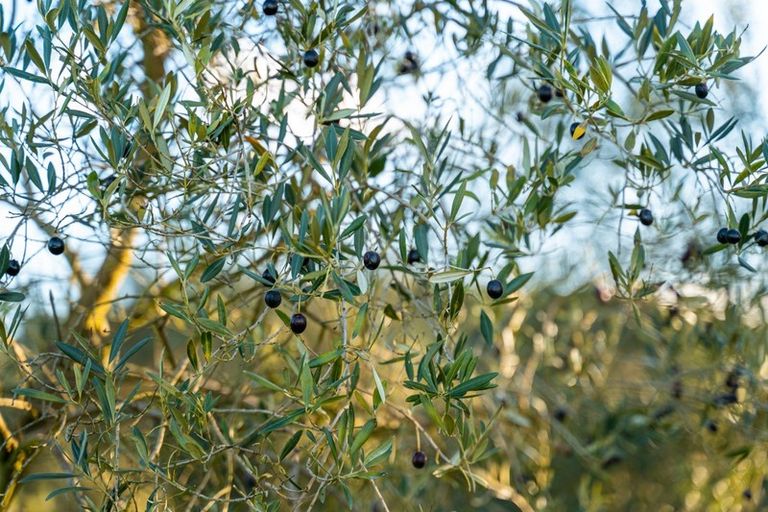 Photo of property in 106 Longwood Road East, South Featherston, Featherston, 5771