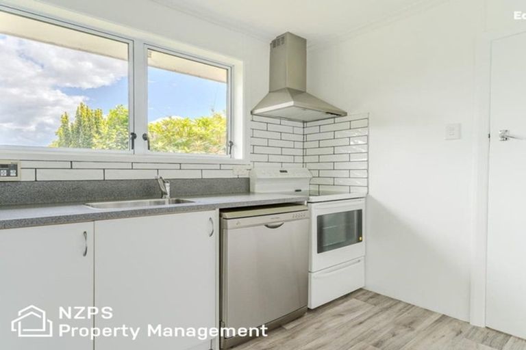Photo of property in 41 Montague Street, North East Valley, Dunedin, 9010