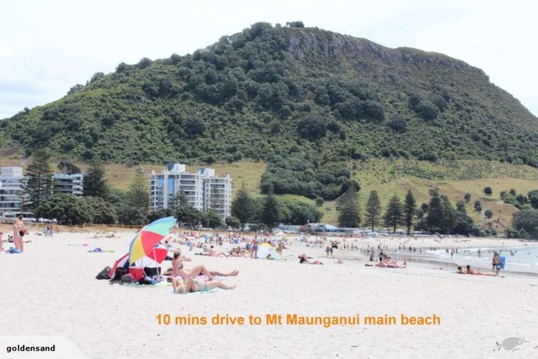 Photo of property in 32 Faulkner Street, Gate Pa, Tauranga, 3112