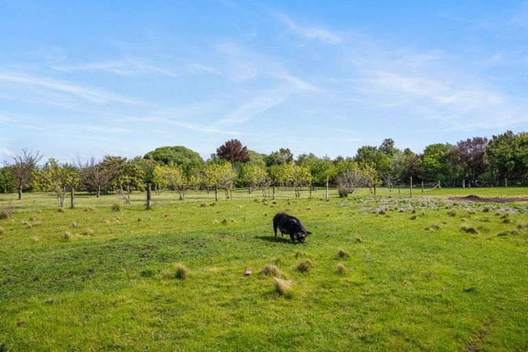 Photo of property in 19 Isobel Place, Rarangi, Blenheim, 7273