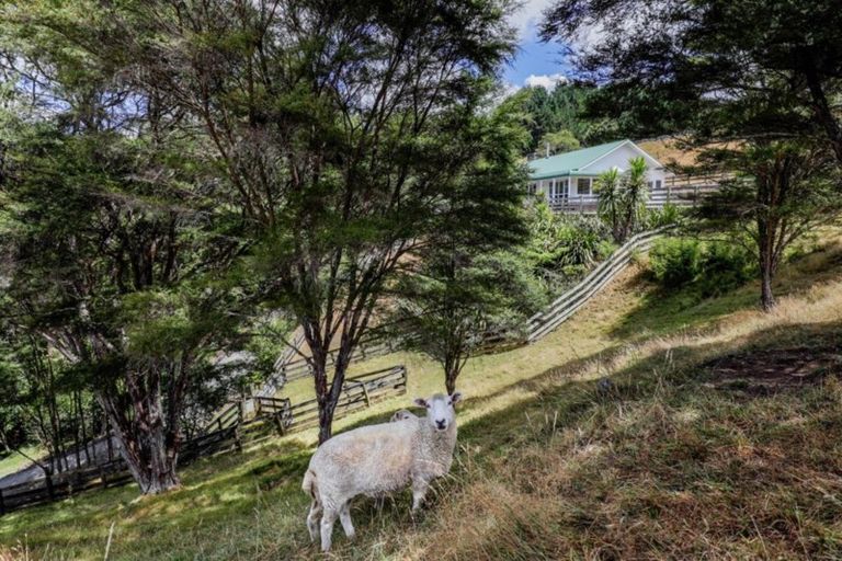 Photo of property in 561b Waingaro Road, Ngaruawahia, 3793