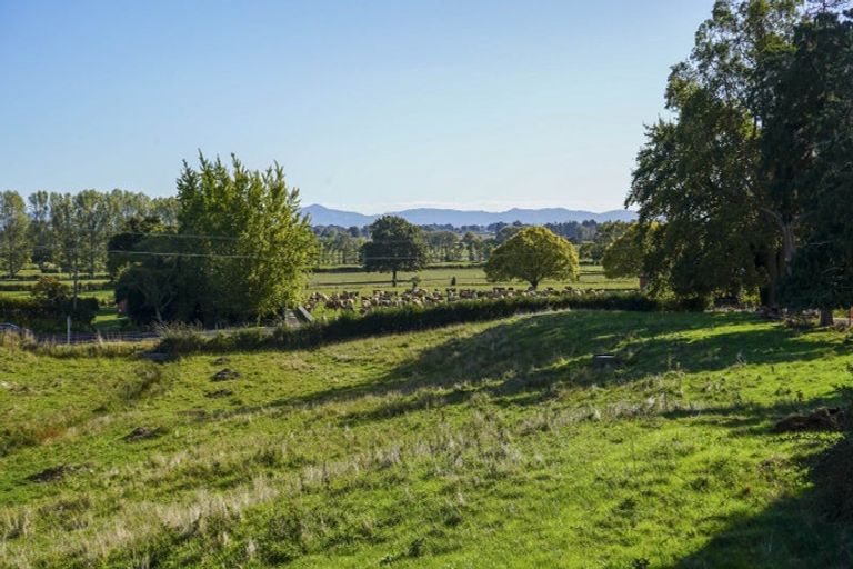 Photo of property in 48 Morrison Road, Taneatua, 3123