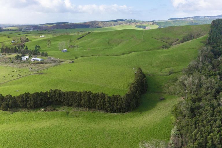 Photo of property in 160 Mcwatt Road, Waitakaruru, Ngatea, 2471