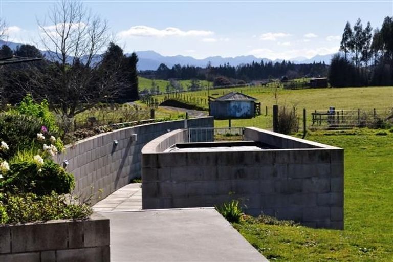 Photo of property in 245 Ross Road, Whakamarama, Tauranga, 3179