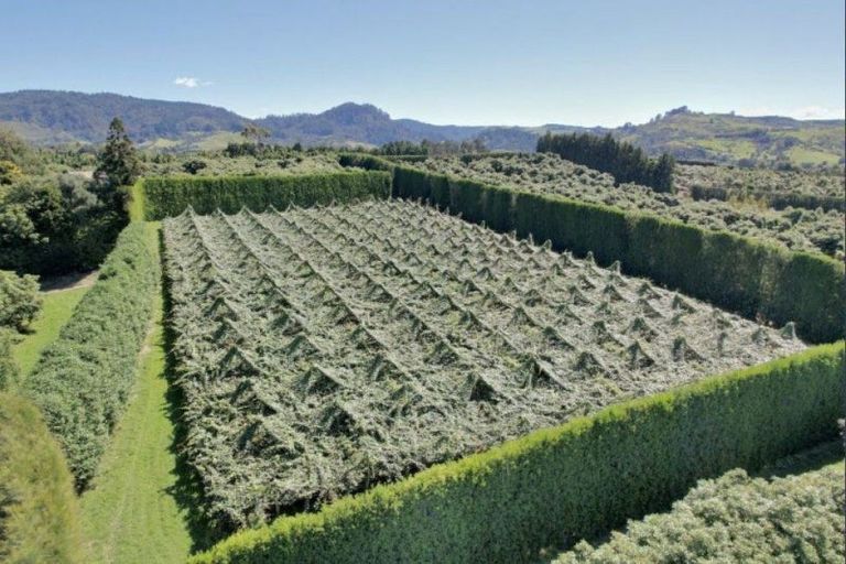 Photo of property in 6 Woodland Road, Johnsonville, Wellington, 6037