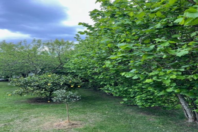 Photo of property in 6 Morunga Street, Omori, Turangi, 3381