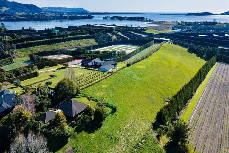 Photo of property in 94a Martray Road, Tahawai, Katikati, 3170