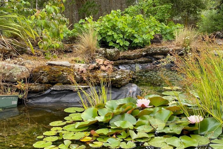 Photo of property in 3 Panners Cove Lane, Cromwell, 9384