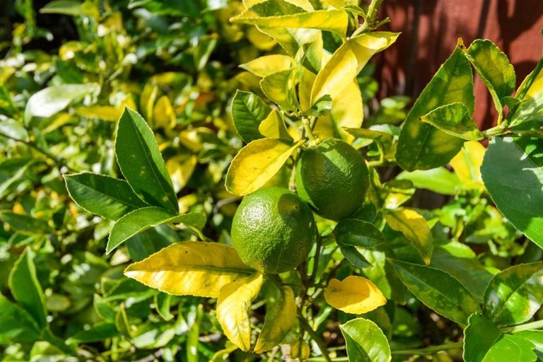 Photo of property in 7b Humphrey Street, Marton, 4710