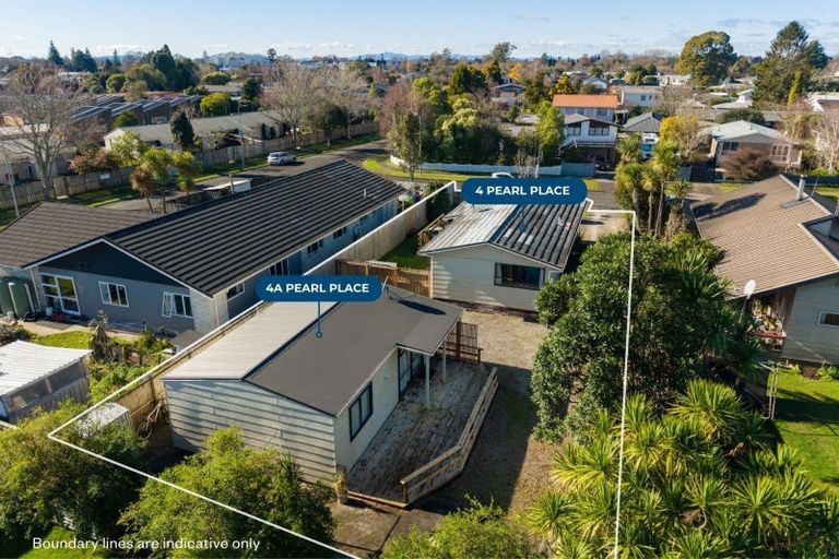 Photo of property in 4 Pearl Place, Chartwell, Hamilton, 3210
