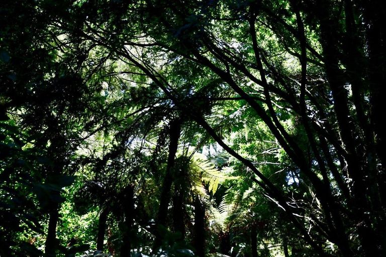 Photo of property in 21 Horncastle Crescent, Little Wanganui, Karamea, 7893