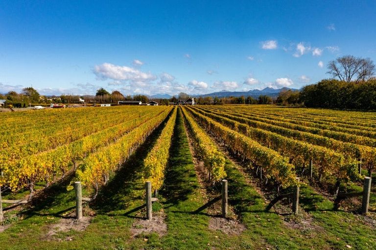 Photo of property in 5 Brook Street, Renwick, 7204