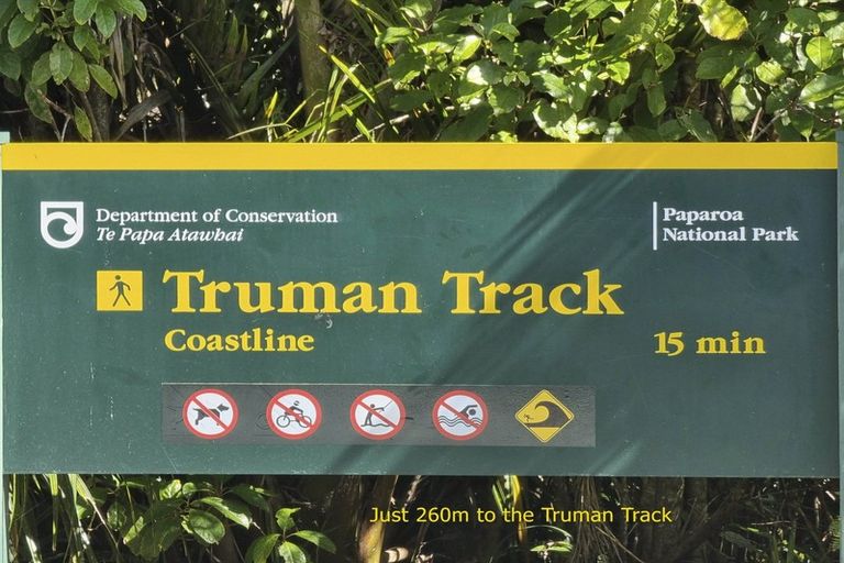 Photo of property in 6 Hartmount Place, Te Miko, Punakaiki, 7871