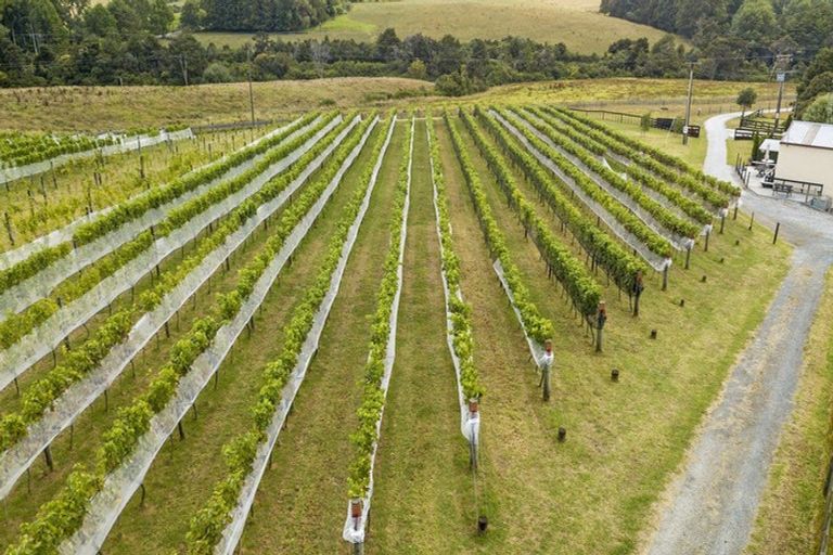 Photo of property in 6 Hamilton Road, Warkworth, 0982