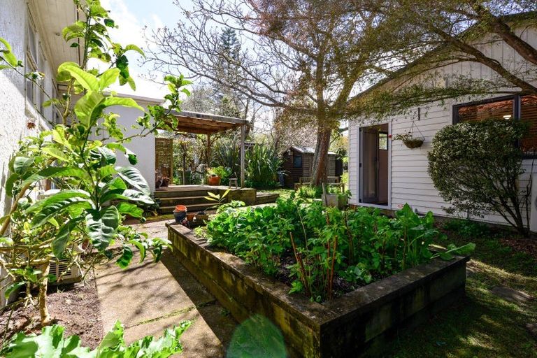 Photo of property in 38 Plunket Terrace, Hamilton East, Hamilton, 3216